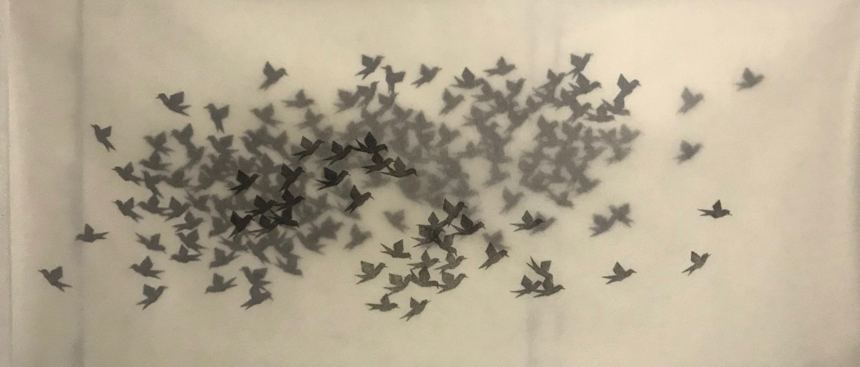 The Flock - disegni